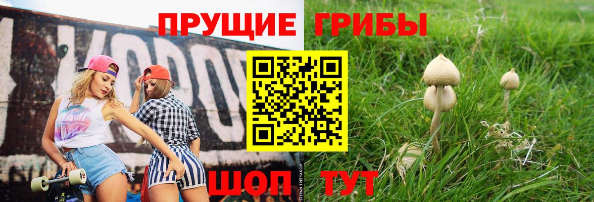 хочу   Вход с VPN  Галлюциногенные грибы Cubensis  Рузаевка  Псилоцибиновые грибы мицелий 