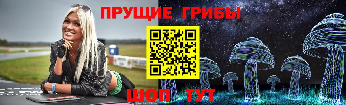 Псилоцибиновые грибы Psilocybine cubensis Рузаевка